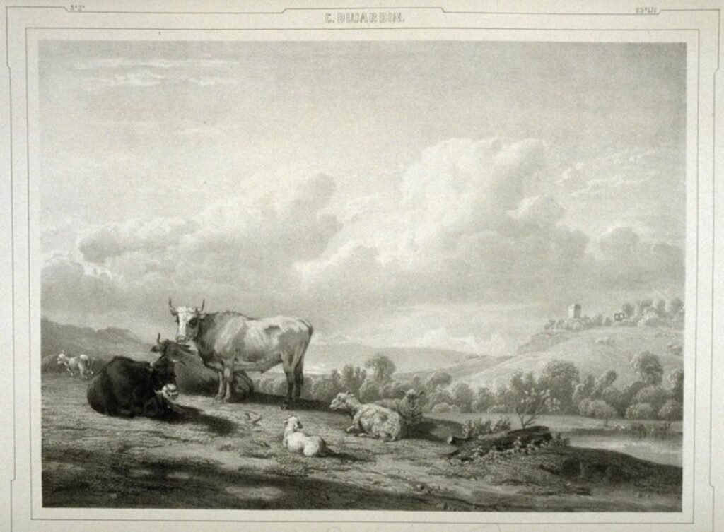 Cosa offre la Fattoria al Dotto per una visita indimenticabile