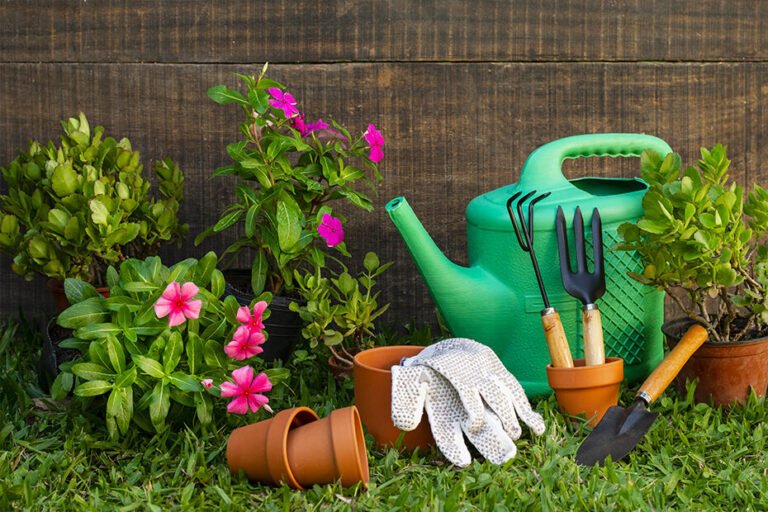 attrezzi da giardinaggio e materiali per bricolage