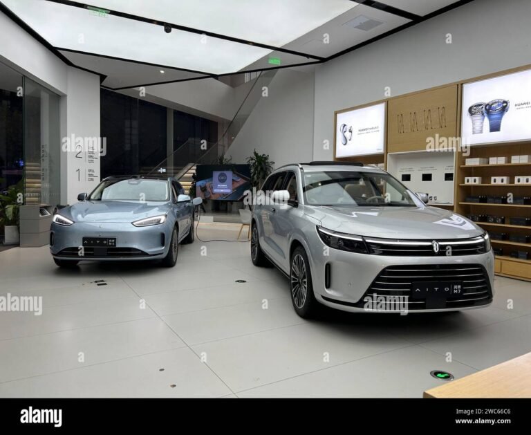 auto in esposizione davanti a unagenzia