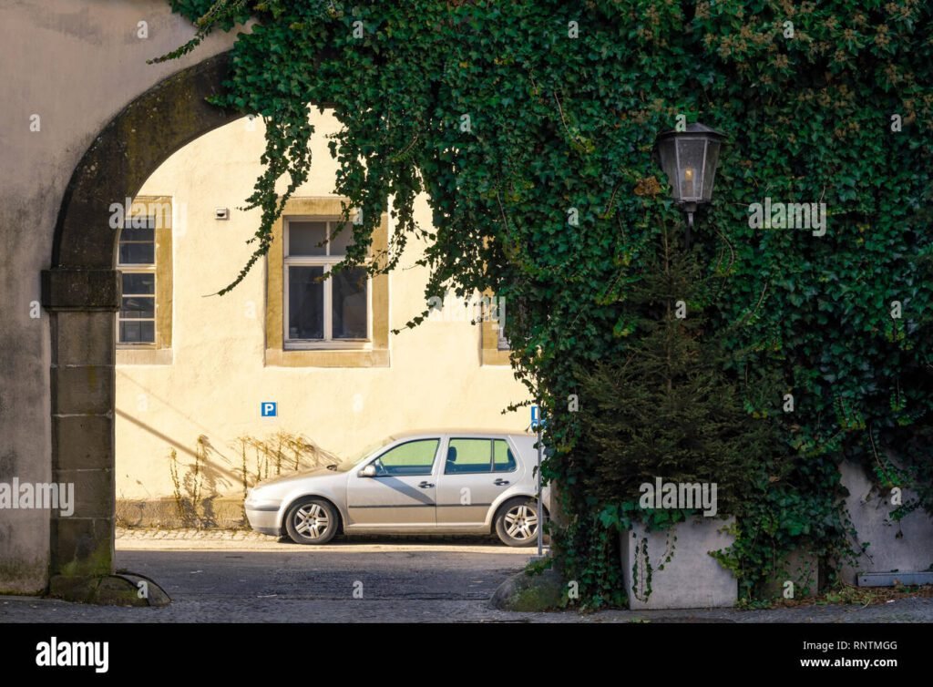 Cosa sapere sui servizi di noleggio auto a Flash Car Orta Nova 8 Cosa sapere sui servizi di noleggio auto a Flash Car Orta Nova