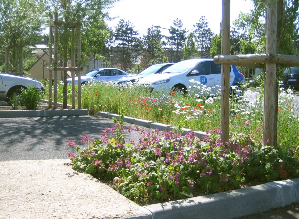 Cosa offre Fly Parking Pisa SRL per il parcheggio dei tuoi voli