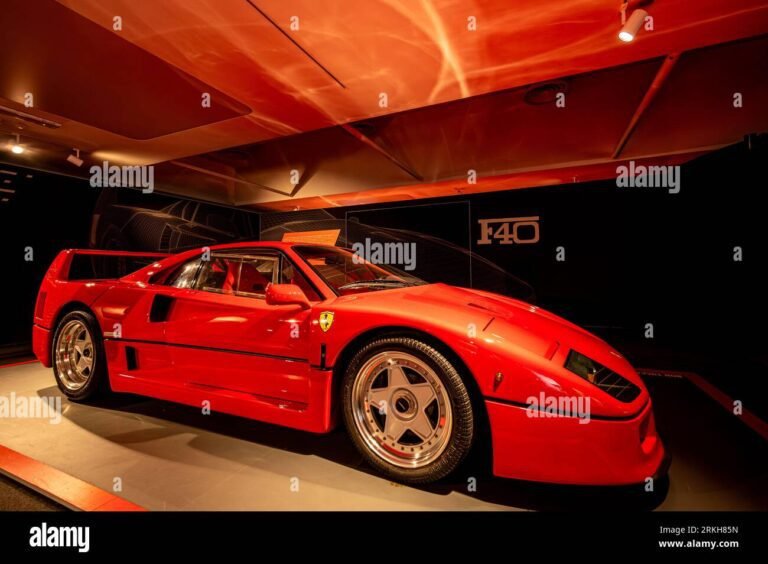 auto sportive in un vivace showroom