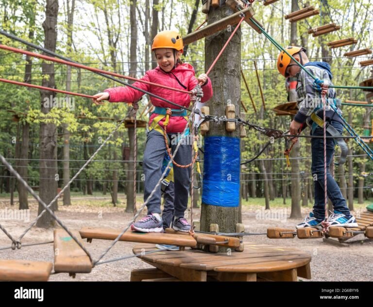 Che attività offre l'Alpin Park di Sappada per famiglie e bambini 15 bambini che giocano in un parco avventura