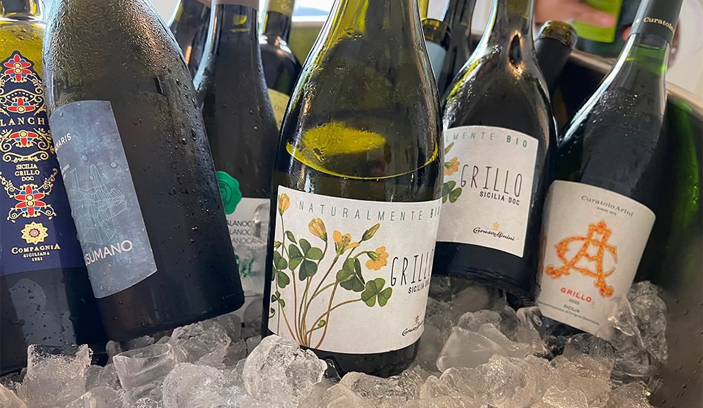 Che caratteristiche ha il vino Grillo siciliano e come si gusta
