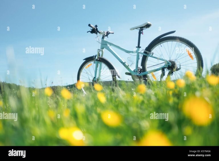 bici colorate in un parco soleggiato