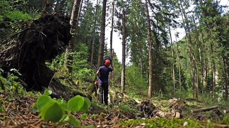boscaiolo al lavoro in un bosco verde