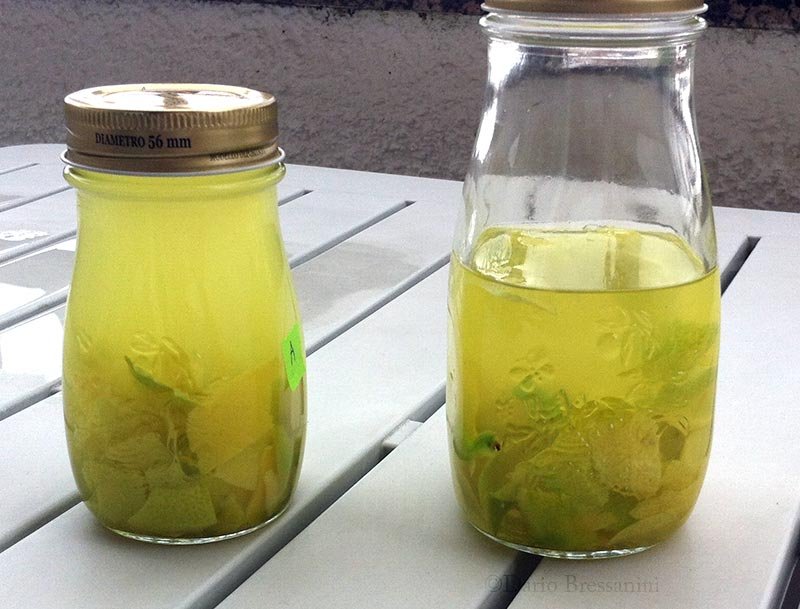 Che cos’è lo sciroppo di chinotto e come si utilizza