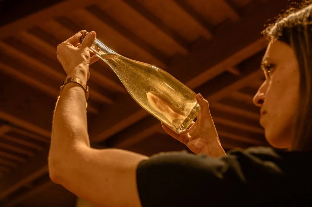 Che caratteristiche ha il vino Dal Maso e dove posso trovarlo