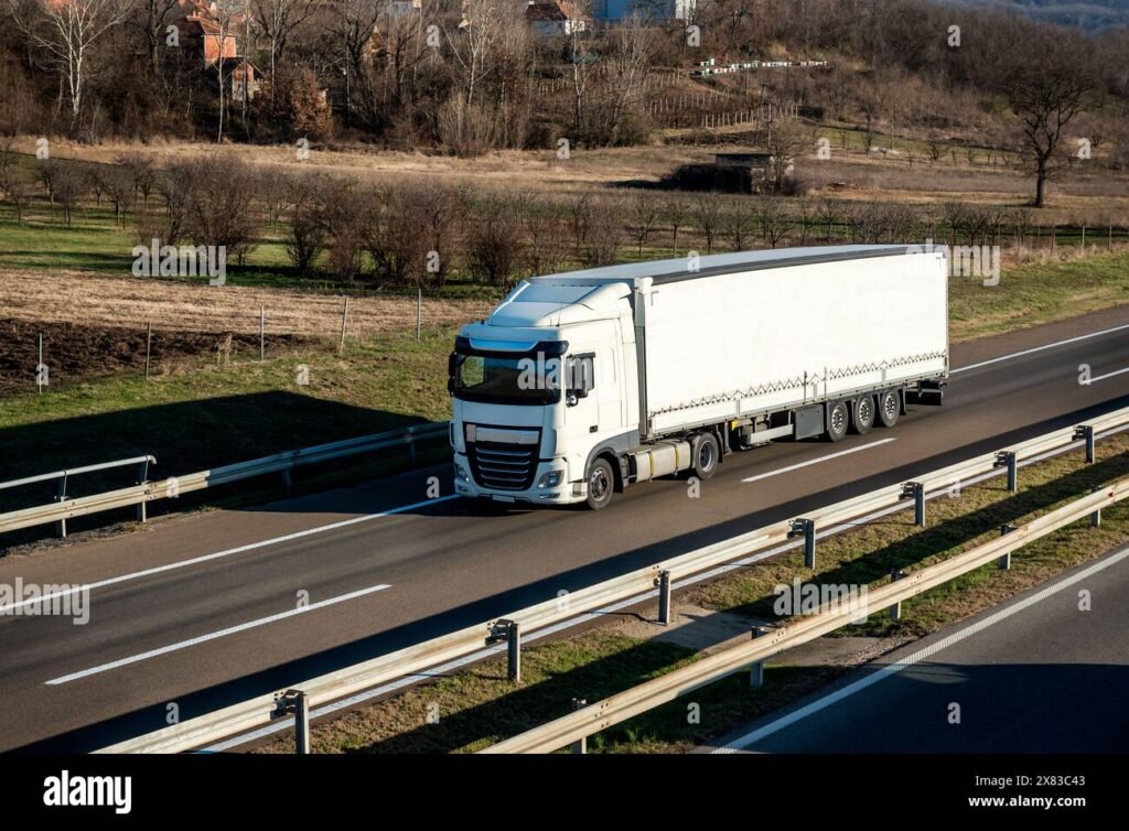 Cosa Devi Sapere Su Con Ap Trasporti Srl e i Loro Servizi Offerti
