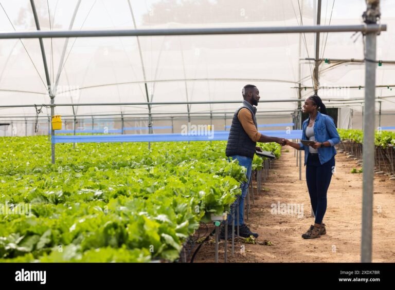 campi verdi e agricoltori al lavoro