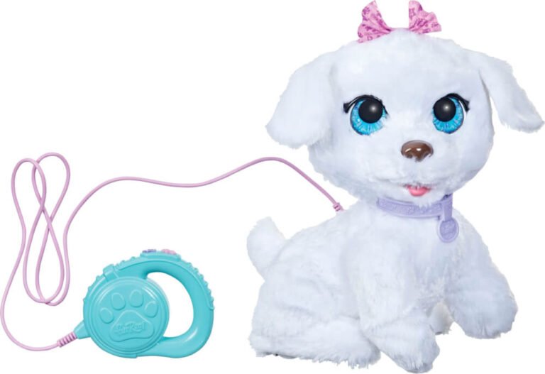 Cosa sono i Pfiff Toys e come si usano per addestrare i cani 22 cane che gioca con un pfiff toy