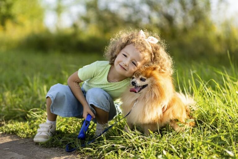 Quali sono i benefici dell'educazione canina dall'asilo alla zampa 39 cane felice che gioca in un parco