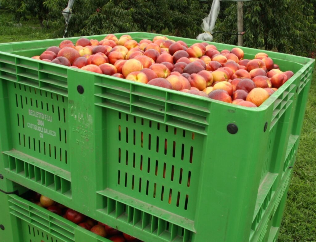 Cosa Sono i Capp in Plastica per Prato e Come Si Usano