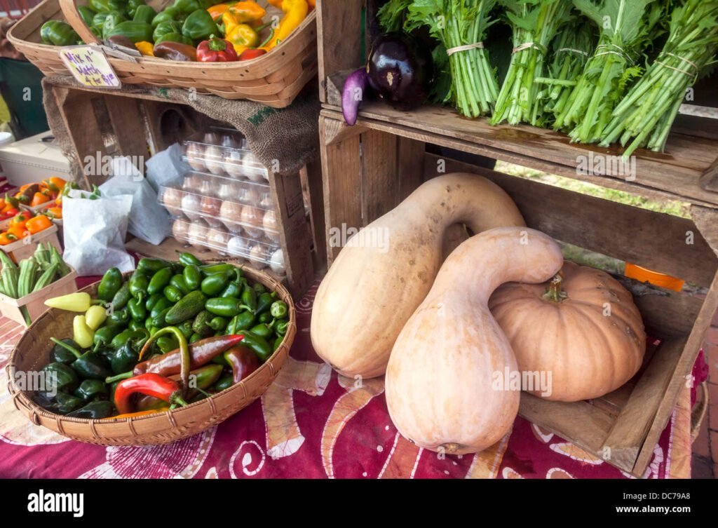 Cosa Sono i Cimeli di Rapa e Come Possono Essere Utilizzati in Cucina