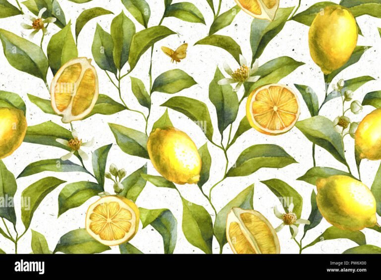 Cosa rende unica l'acqua di Parma al profumo di yuzu 33 citrus yuzu su sfondo elegante e naturale