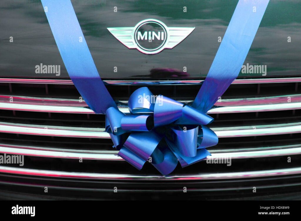 Dove posso trovare fiocchi auto a Bologna per decorare il mio veicolo