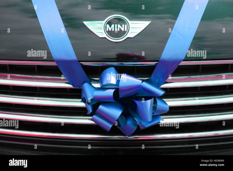 Dove posso trovare fiocchi auto a Bologna per decorare il mio veicolo 4 fiocchi colorati su unauto decorata