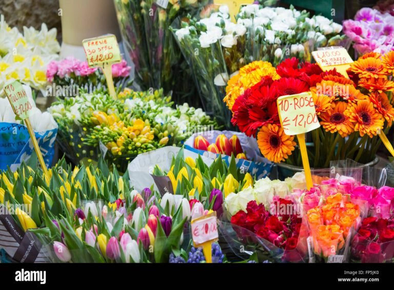 Dove trovare i fiori di Frida a Milano e quali sono i loro prezzi 8 fiori colorati in un mercato di milano