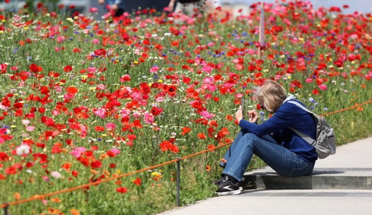 Qual è il ruolo di Nabi nella natura biologica a Milano 15 fiori e piante del parco milanese