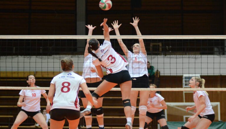 giocatori di pallavolo in azione sul campo
