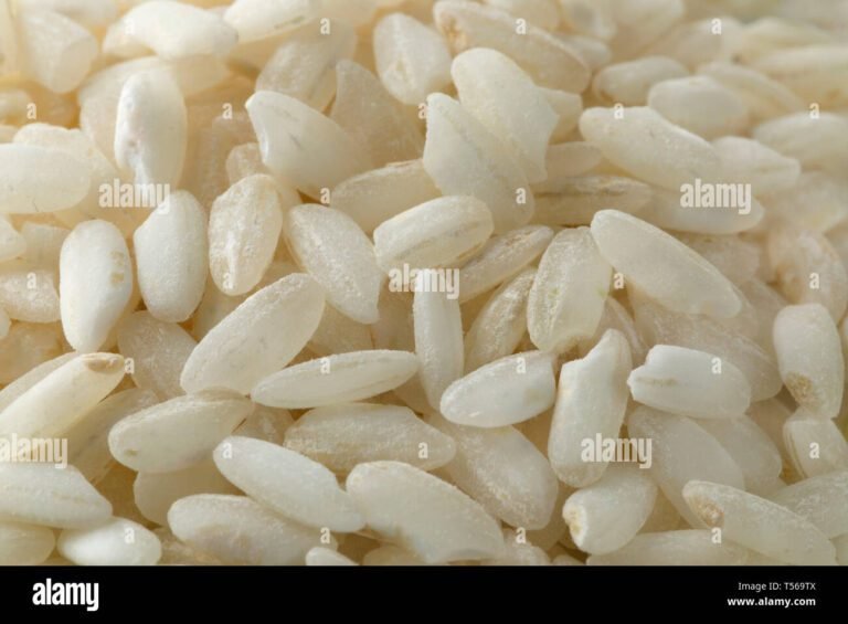 Qual è il miglior riso carnaroli da scegliere per i tuoi piatti 3 granelli di riso carnaroli in primo piano