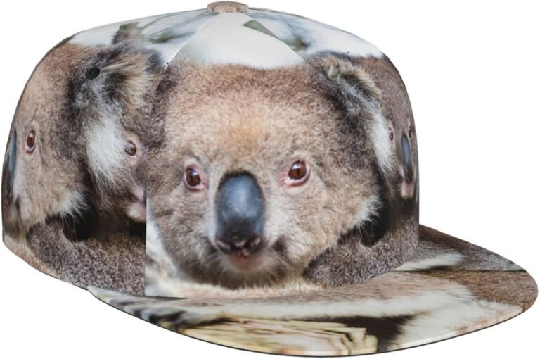 koala che gioca a sport allaperto