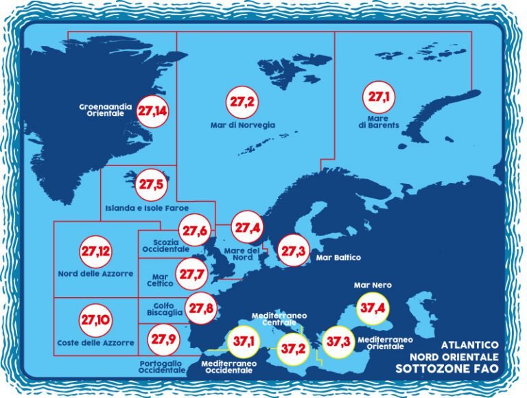 mappa delle zone fao nel mediterraneo