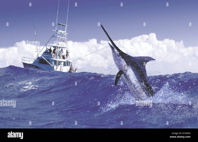 Che cos'è il Black Marlin Club e quali esperienze offre 1 marlin blu che salta fuori dallacqua
