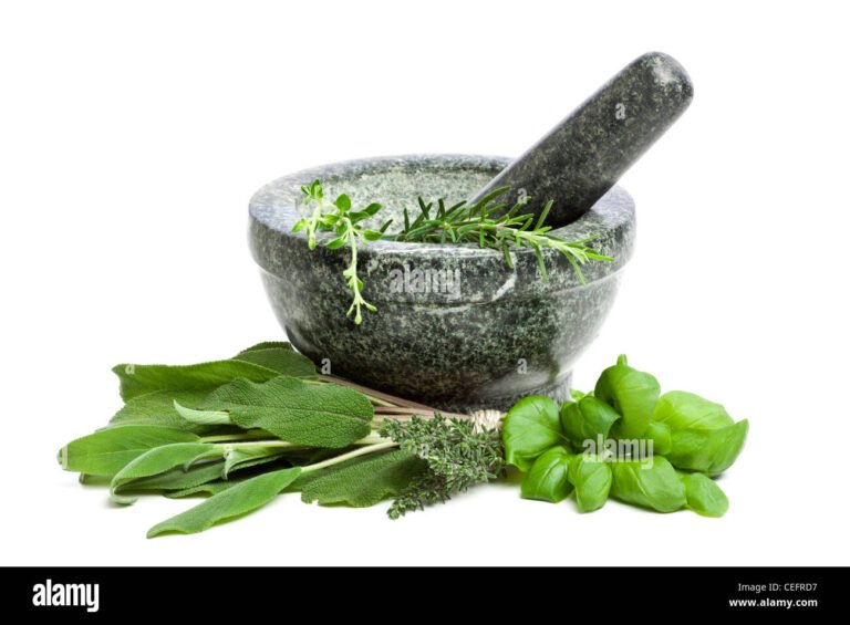 Che vantaggi offre un mortaio in granito per la cucina 38 mortaio in granito con spezie fresche