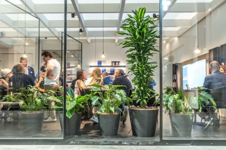 negozio di piante idroponiche a milano 1