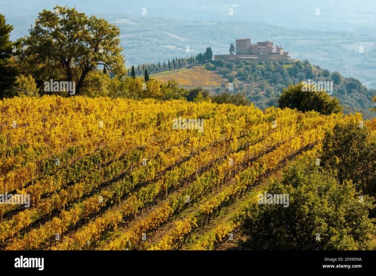 Quali sono le migliori esperienze da vivere in Italia on tour 35 paesaggio italiano con colline e vigneti