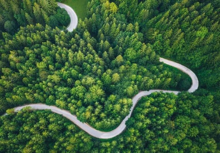 paesaggio naturale del point gorgo al monticano