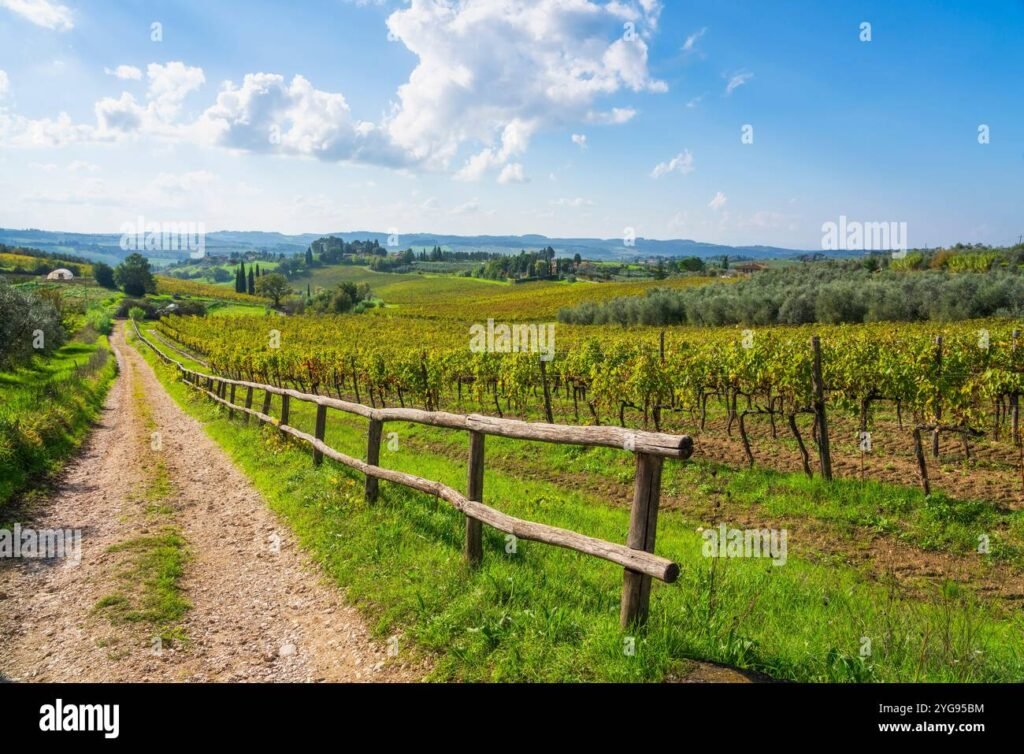 Perché scegliere l’agriturismo Il Piastrino a Vinci per la tua vacanza