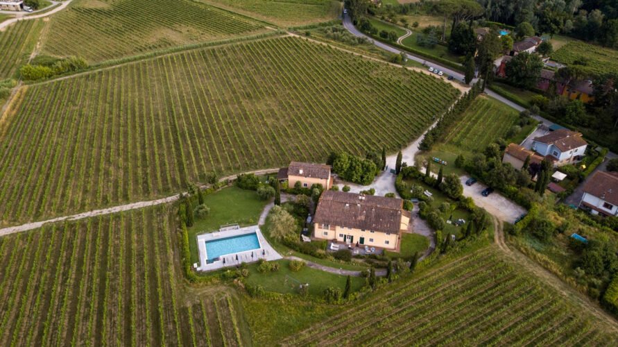 Cosa offre la fattoria Sardi a Lucca per una visita indimenticabile