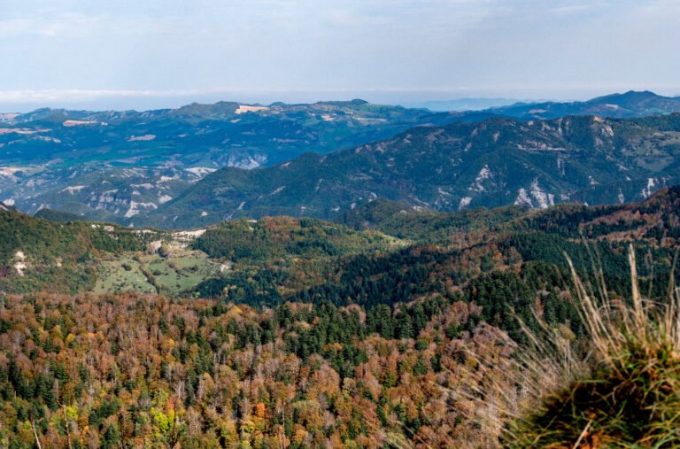 Quali sono le caratteristiche del dialetto tosco-romagnolo a Bagno di Romagna 12 panorama di bagno di romagna e colline circostanti