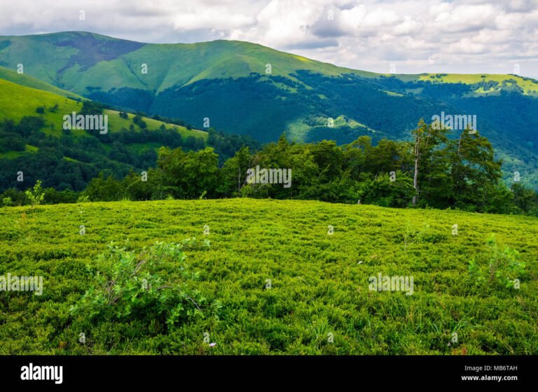 Quali sono le migliori gite fuori porta da Milano da fare nel weekend 28 panorama di una natura verdeggiante