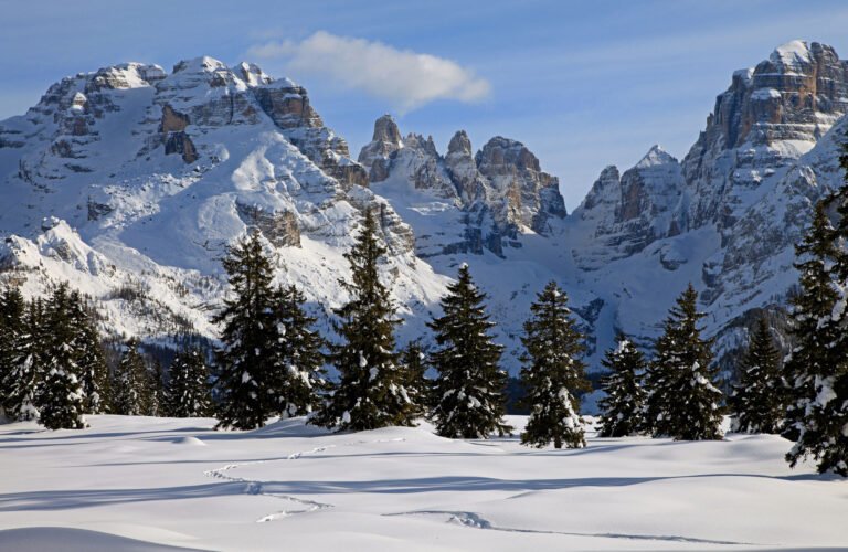 Dove Posso Trovare Affitto Sci a Madonna di Campiglio 19 panorama innevato di madonna di campiglio