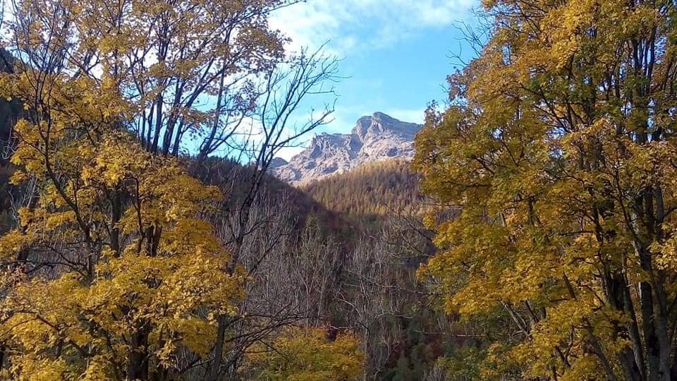 Cosa sapere sullo spazio in via Ala di Stura a Torino 3 Cosa sapere sullo spazio in via Ala di Stura a Torino
