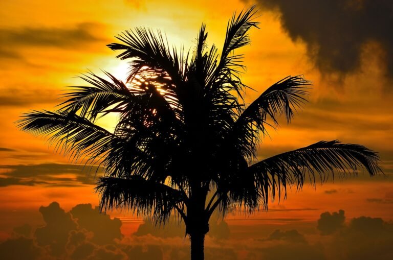 panorama suggestivo di rivalago al tramonto