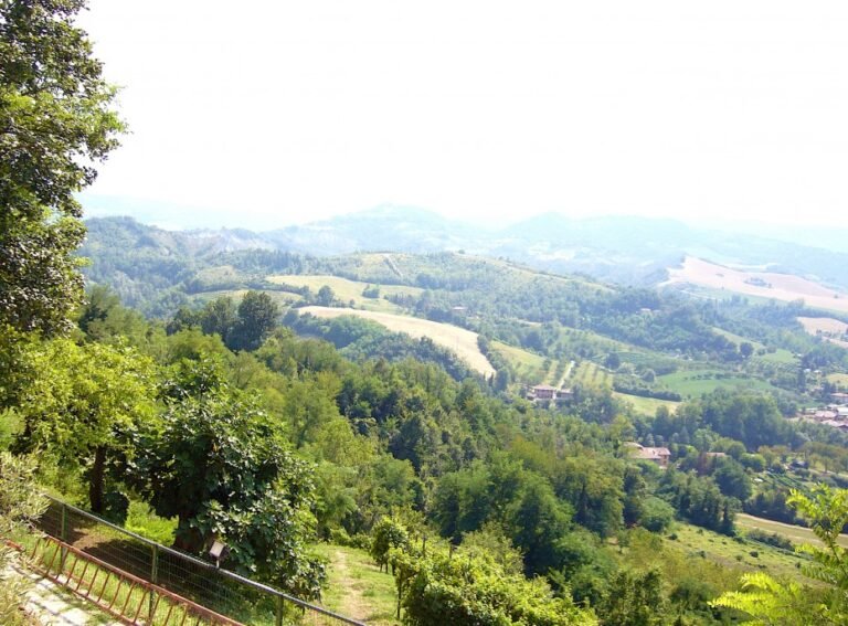 panorama verde dellagriturismo ca isotta