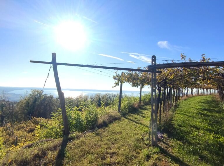 panoramica della locanda moscal e dintorni