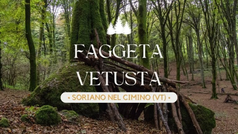 Quali sono le informazioni storiche sul pozzo cavo di San Giovanni Rotondo 15 pozzo cavo immerso nella natura storica