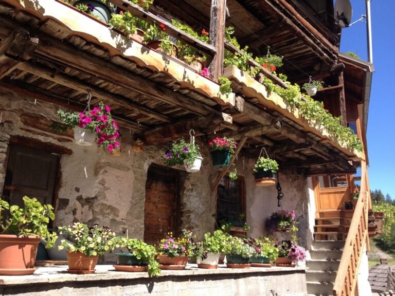 scorcio artistico del bb circondato da natura