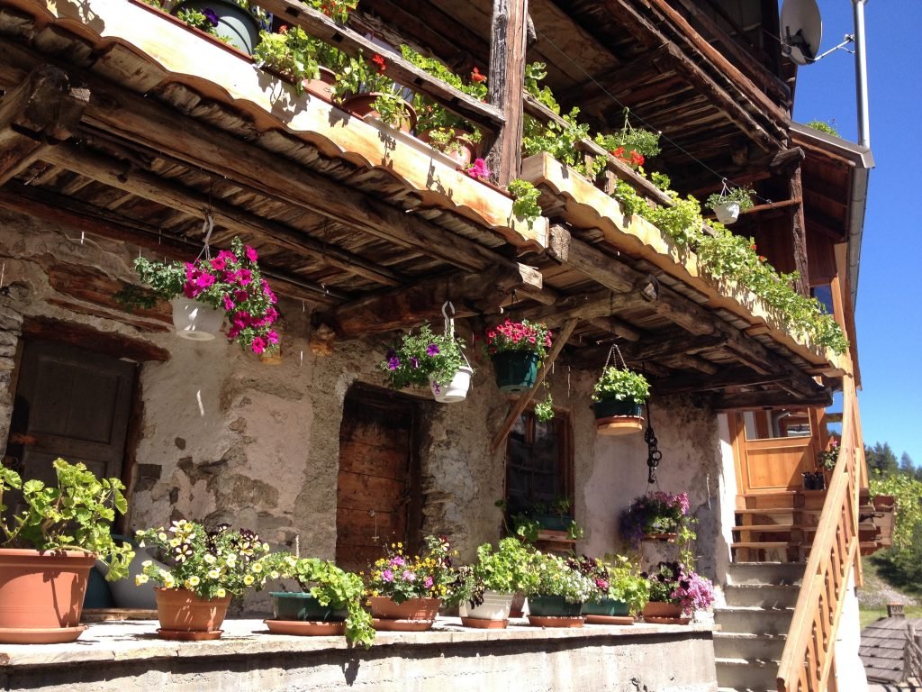 Quali esperienze offre il B&B Gli Aironi per gli amanti dell’arte