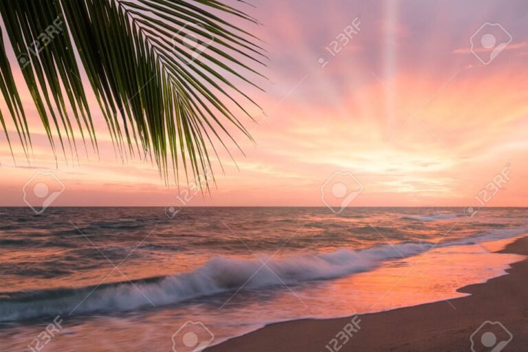 Dove andare per un Capodanno al caldo low cost 1 spiaggia tropicale con palme al tramonto