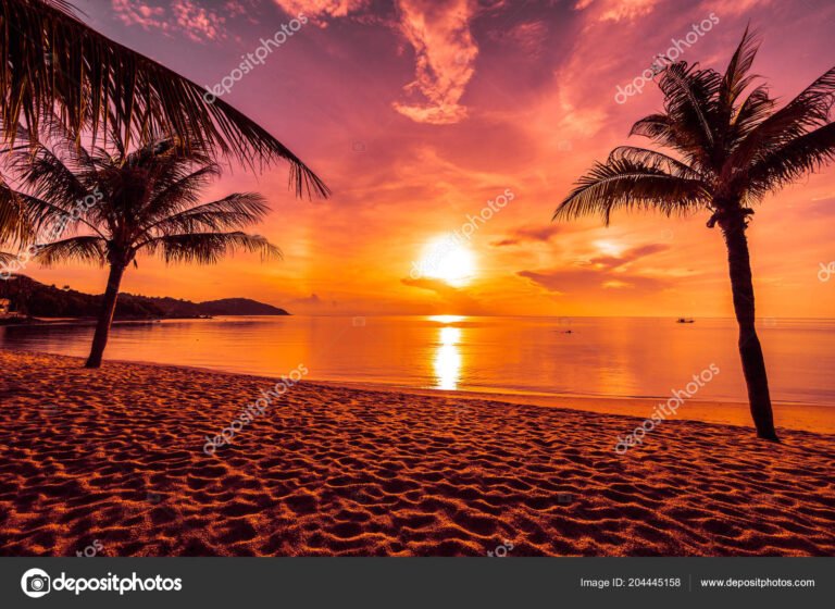 spiaggia tropicale con palme e tramonto