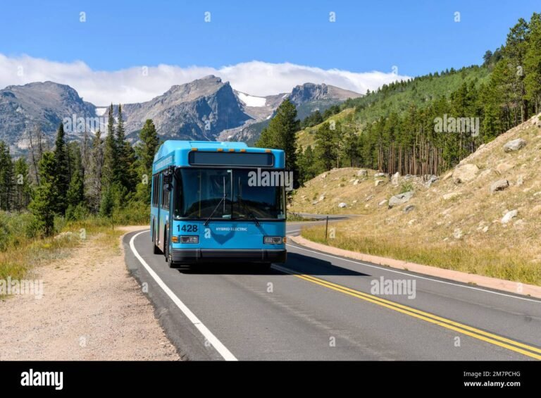 un autobus in viaggio su una strada panoramica