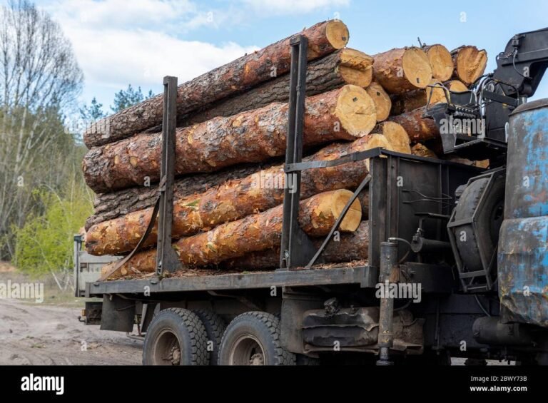 un autocarro carico di pali in legno