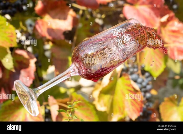 un calice di vino in un vigneto