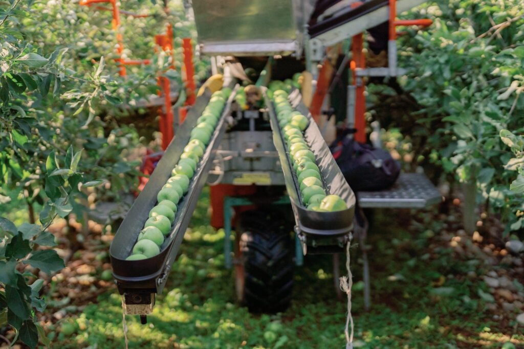 Quali esperienze offre l’agriturismo L’Antico Frutto